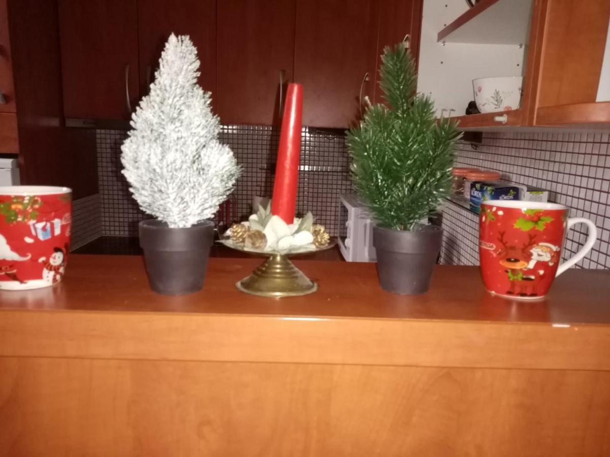 Apartament Sonja Belgrad